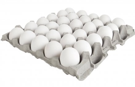 EIEREN WIT VERS 30ST MEDIUM PER TRAY