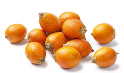 AWARA SURINAAMS VERS PER KG