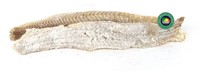 BAKKELJAUW LENG FILET PER KG-3