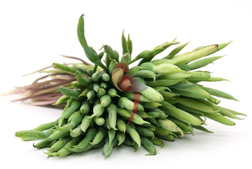 BANDROEJA SURINAAMSE PER KG