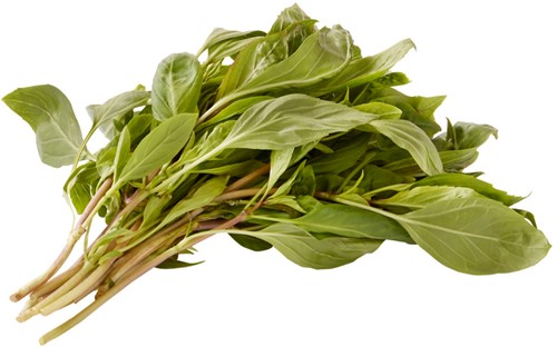 THAISE BASILICUM PER BOS 50GR