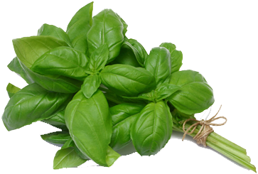 BASILICUM PER BOS 50GR