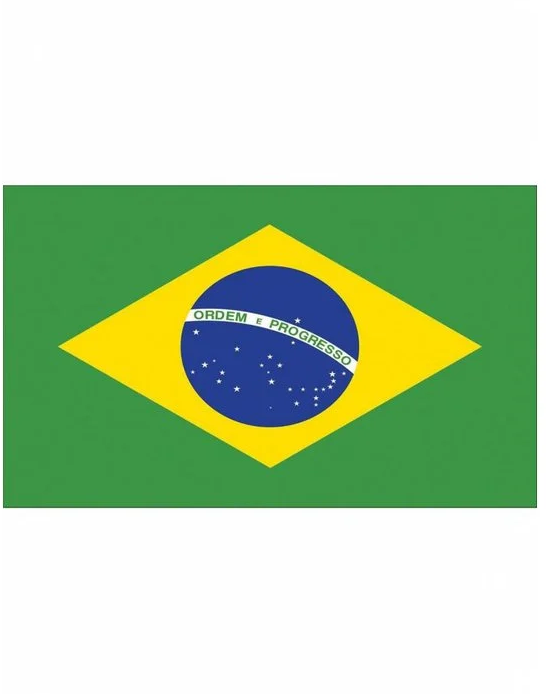 Strijkapplicatie 8x6cm vlag Brazilië