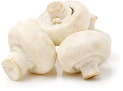 CHAMPIGNON WIT VERS PER KRAT