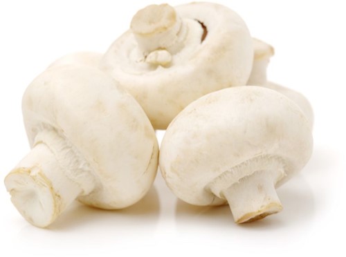 CHAMPIGNON WIT VERS PER KRAT