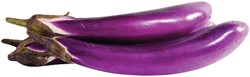 BHATA/AUBERGINE JAPANSE TYPE PER KG PAARS