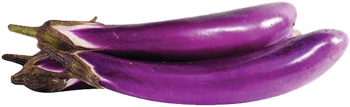 BHATA/AUBERGINE JAPANSE TYPE PER KG PAARS