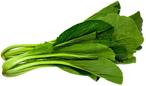 SOY-SAM VERS PER KG