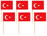 VLAGGENPRIKKERS TURKIJE 50ST PER PAK-2