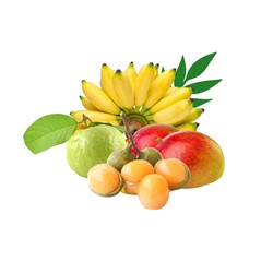 Fruit