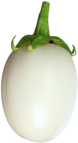 GARDEN EGG VERS PER KG (WIT)