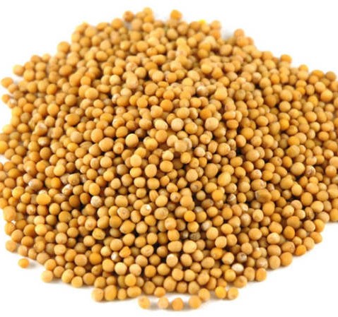 MOSTERDZAAD PER KG