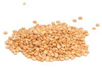 GELE SPLITERWTEN 25KG PER BAAL