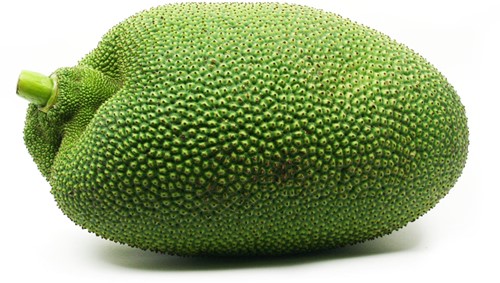 JACKFRUIT RIJP VERS PER KG