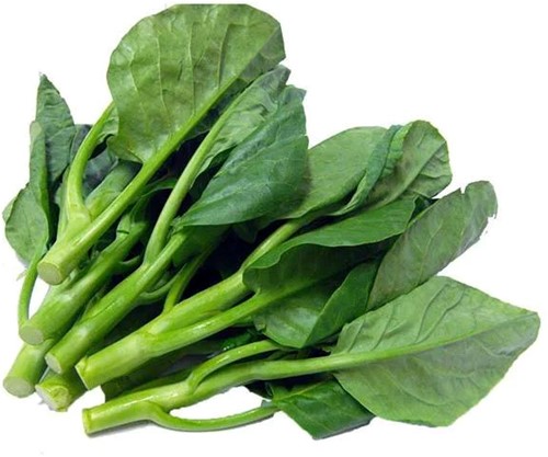 KAILAN (CHINESE BLADGROENTEN) PER KG