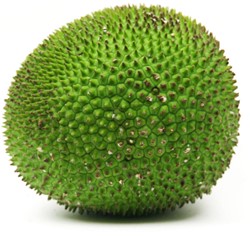 KATAHAR VERS PER KG