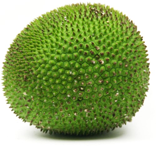 KATAHAR VERS PER KG