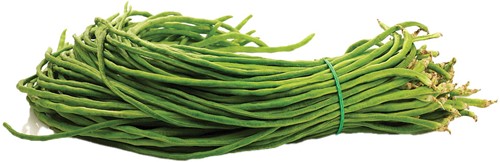 KOUSEBAND VERS TANZANIA PER KG