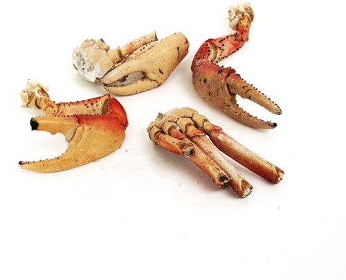 KRAB/CRAB OCEAN DELIGHT SURINAAMS DIEPVRIES 1KG PER PAK