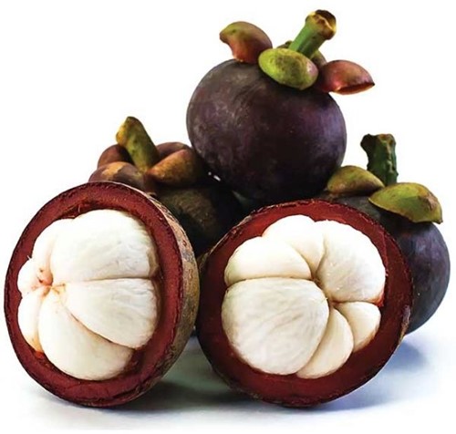 MANGOSTEEN VERS 500G PER PAK
