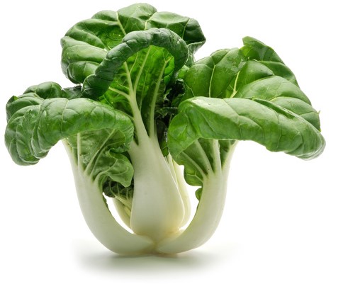 MINI PAKSOI (BOKCHOI) VERS PER KG