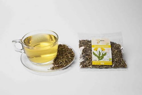 THEE TROPICAL PAARDENBLOEM PER PAK
