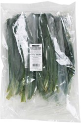 PANDAN BLAD DIEPVRIES 100G FLOWERBAND PER PAK