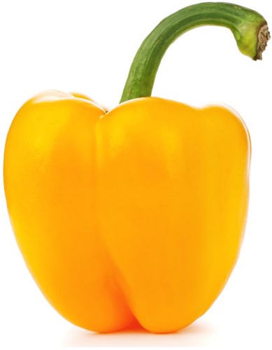 PAPRIKA GEEL PER KG