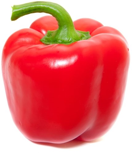 PAPRIKA ROOD PER KG