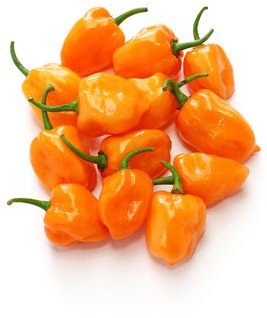 PEPER GEEL VERS PER KG
