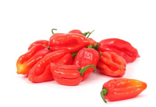 PEPER ROOD VERS PER KG