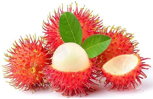RAMBUTAN SURINAAMS VERS KG