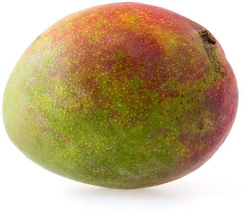 ROODBORSTJE SURINAAMS PER KG