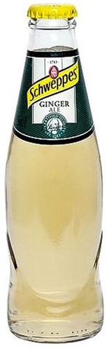 SCHWEPPES ginger ale 24X20CL GLAS