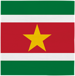 SERVETTEN SURINAME 20ST 33X33CM PER PAK