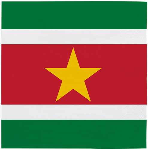 SERVETTEN SURINAME 20ST 33X33CM PER PAK
