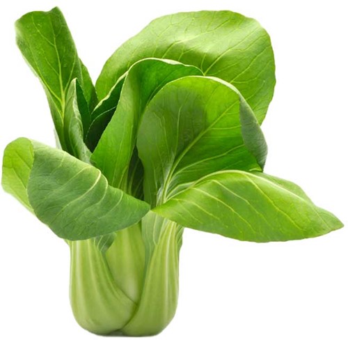 SHANGHAI PAKSOI PER KG
