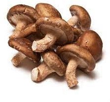 SHIITAKE CHAMPIGNON 1,5KG PER KRAT