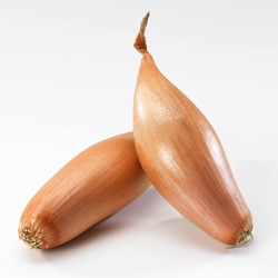 SJALOTTEN BANAAN 5KG PER ZAK