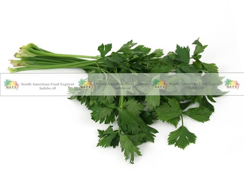 SOEPGROENTEN VERS PER KG