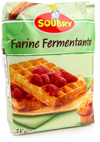 SOUBRY ZELFRIJZEND BAKMEEL 5KG (groot) PER PAK