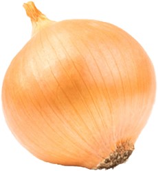 UIEN WIT VERS PER BAAL 25KG (NIEUWE OOGST)